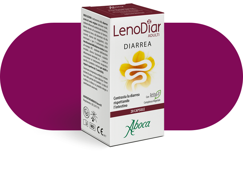 Lenodiar Adulti